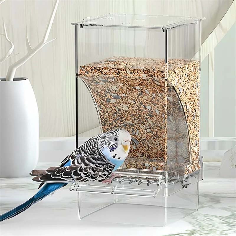 Mangeoire d'oiseaux automatique transparente sans déversement