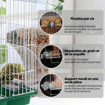 Mangeoire d'oiseaux automatique transparente sans déversement