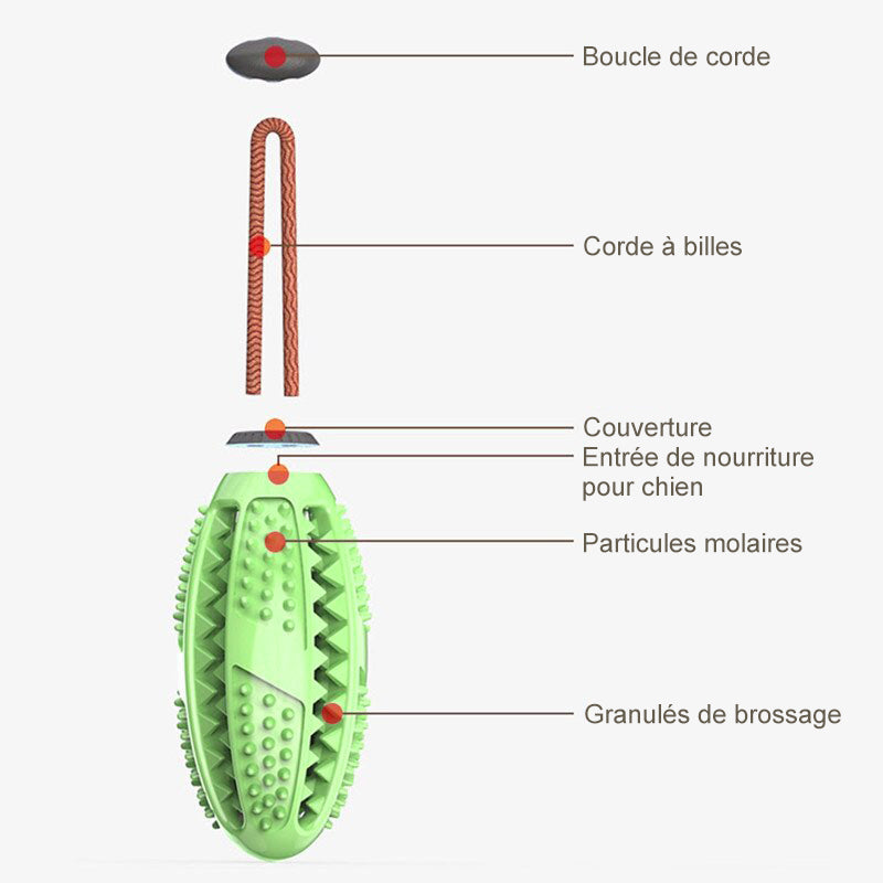 Pré-vente >> Jouet de Brosse à Dents pour Chien