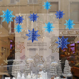 Ciaovie™ Décorations 3D en Flocon de Neige (6/12 pièces) - ciaovie