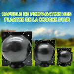 Capsule de Propagation des Plantes de la Couche d'Air