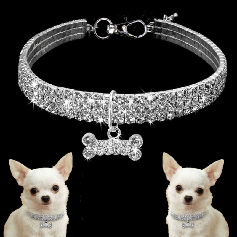 Collier De Chien En Cristal Mignon