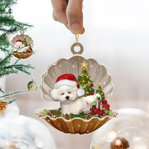 Pendentif De Coquillage NOËL Où Il y a Un Chien Mignon Qui Dort Dedans