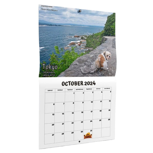 Calendrier 2024 - Chiens Qui Font Leurs Besoins Sur De Beaux Murs